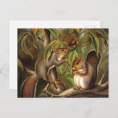 Eekhoorns in een kastanjeboom schilderij briefkaart (Voorkant / Achterkant)