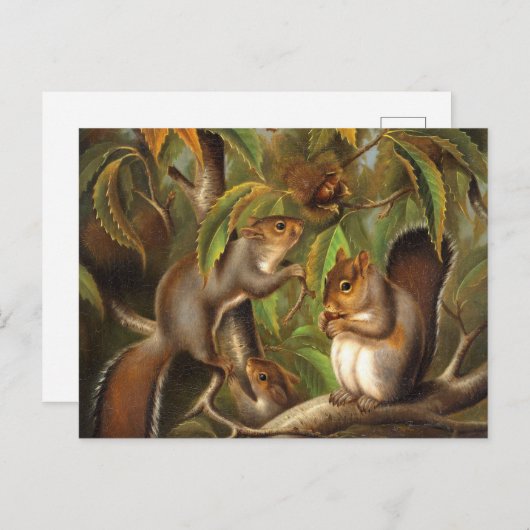 Eekhoorns in een kastanjeboom schilderij briefkaart (Voorkant / Achterkant)