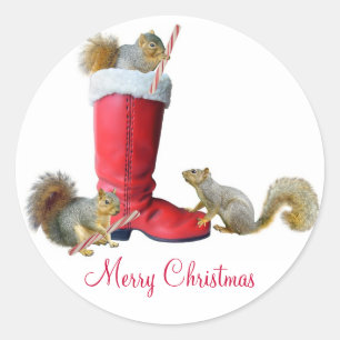 Eekhoorns in Santa's Boot Stickers