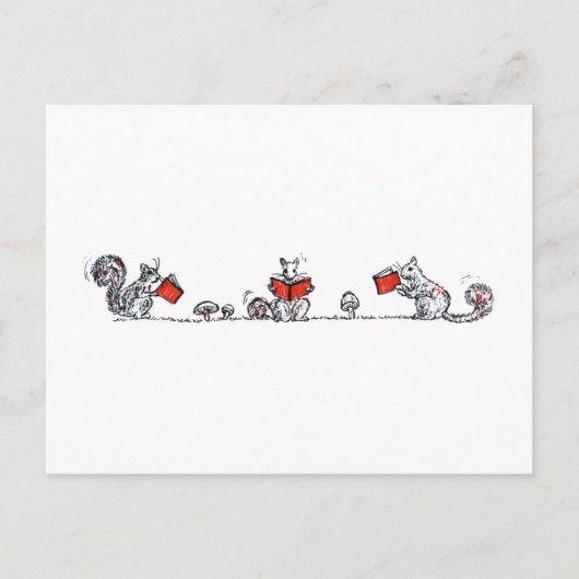 eekhoorns leesboeken briefkaart (Voorkant)