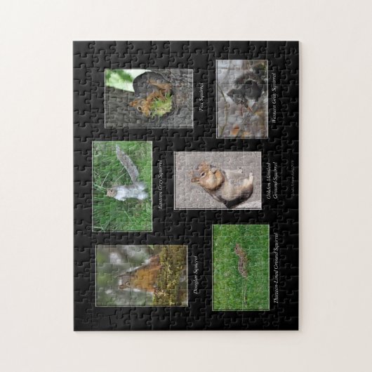 Eekhoorns! Puzzel (Verticaal)