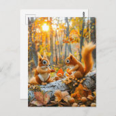 Eekhoorns verzamelen eikels op bosbodem briefkaart (Voorkant / Achterkant)