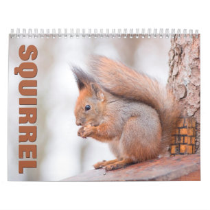 Eekhoorns wandkalender kalender