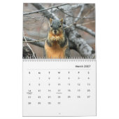 Eekhoorns wandkalender kalender (Mar 2027)