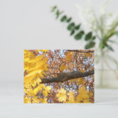 Eekhoorn's Zen Moment Briefkaart (Staand voorkant)