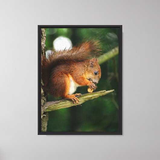 Eekhoornschat Canvas Afdruk (Voorkant)