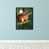Eekhoornschat Canvas Afdruk (Insitu (Houten vloer))