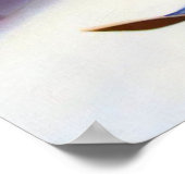 Eekhoornskiën Poster (Hoek)