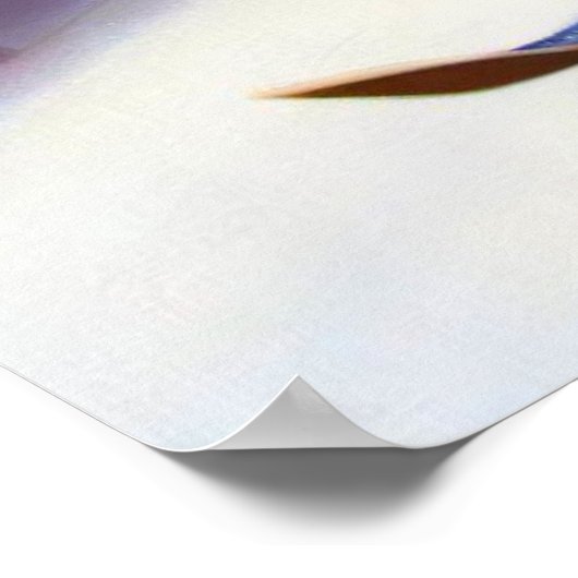 Eekhoornskiën Poster (Hoek)