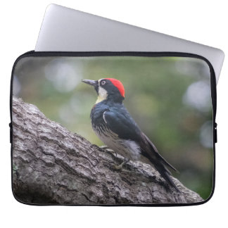 Eekhoornspecht Laptophoes | Vogel Kunst Laptop Sleeve