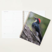 Eekhoornspecht Planner | Bosvogelkunst (Display)