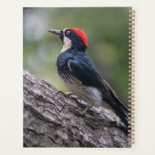 Eekhoornspecht Planner | Bosvogelkunst (Achterkant)