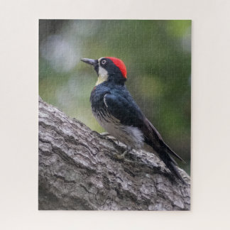 Eekhoornspechtpuzzel | Bosvogelkunst Legpuzzel