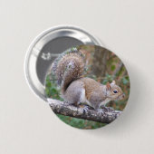 Eekhoornspoeling Ronde Button 5,7 Cm (Voorkant /achterkant)
