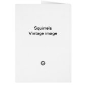 Eekhoorntje (Achterkant)