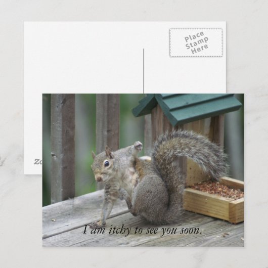 eekhoorntje Briefkaart (Voorkant / Achterkant)