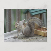 eekhoorntje Briefkaart (Voorkant)