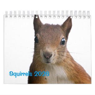 Eekhoorntje Kalender