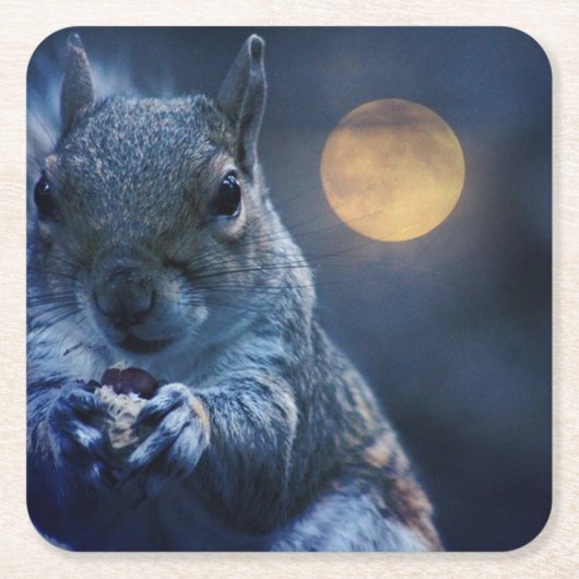 eekhoorntje onderzetter (Voorkant)