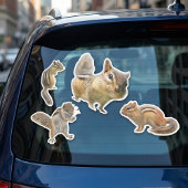 Eekhoorntje Sticker Verzameling