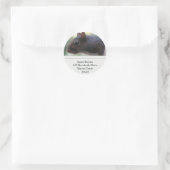 Eekhoorntjes Adresetiketten Ronde Sticker (Tas)