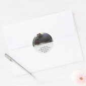 Eekhoorntjes Adresetiketten Ronde Sticker (Envelop)