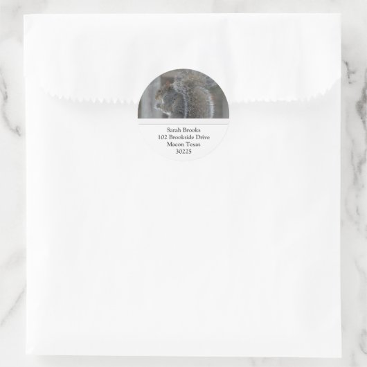 Eekhoorntjes Adresetiketten Ronde Sticker (Tas)