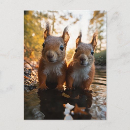 Eekhoorntjes Briefkaart (Voorkant)