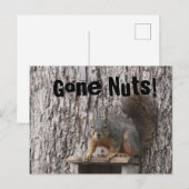 Eekhoorntjes Briefkaarten (Voorkant / Achterkant)