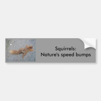 Eekhoorntjes Bumpersticker