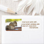 Eekhoorntjes die pinda's eten etiket (Insitu)