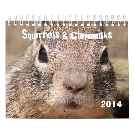 Eekhoorntjes en Chipmunks Kalender (Hoes)