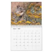 Eekhoorntjes en Chipmunks Kalender (Mar 2027)