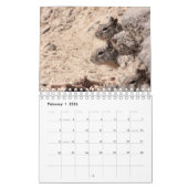 Eekhoorntjes en Chipmunks Kalender (Feb 2026)
