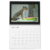 Eekhoorntjes en hun schatten kalender (Mar 2027)