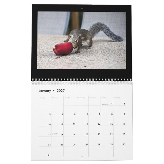 Eekhoorntjes en hun schatten kalender (Jan 2027)