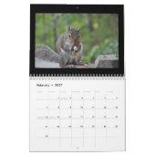 Eekhoorntjes en hun schatten kalender (Feb 2027)