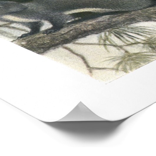 Eekhoorntjes in de Forest Print (Hoek)