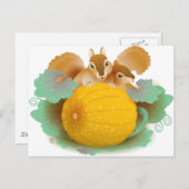 eekhoorntjes in de pompoenpleister briefkaart (Voorkant / Achterkant)