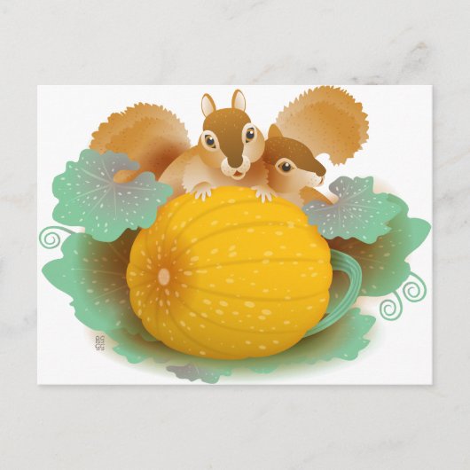 eekhoorntjes in de pompoenpleister briefkaart (Voorkant)