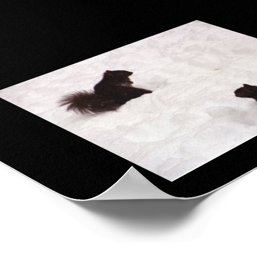 Eekhoorntjes in sneeuw poster (Hoek)