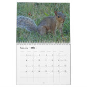 Eekhoorntjes Kalender (Feb 2026)