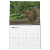 Eekhoorntjes Kalender (Mar 2027)