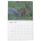 Eekhoorntjes Kalender (Feb 2027)