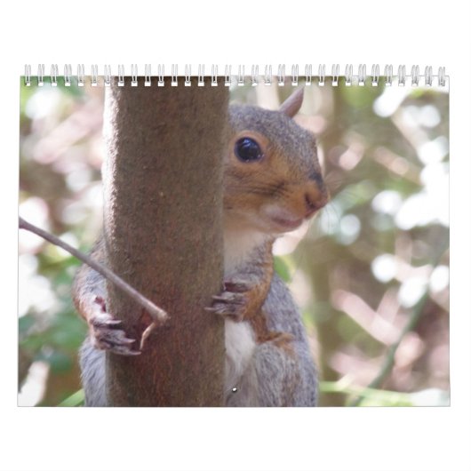 Eekhoorntjes Kalender (Hoes)