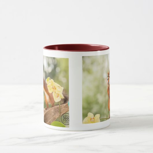 Eekhoorntjes Mok (Midden)