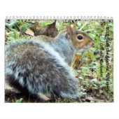 Eekhoorntjes Saltus Fidelis Calendar Kalender (Hoes)