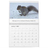 Eekhoorntjes Saltus Fidelis Calendar Kalender (Jan 2027)