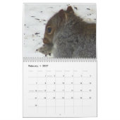 Eekhoorntjes Saltus Fidelis Calendar Kalender (Feb 2027)