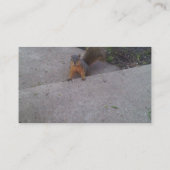 Eekhoorntjes Visitekaartjes (Achterkant)